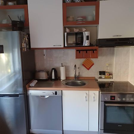 Mali Plac Apartment 萨格勒布 外观 照片